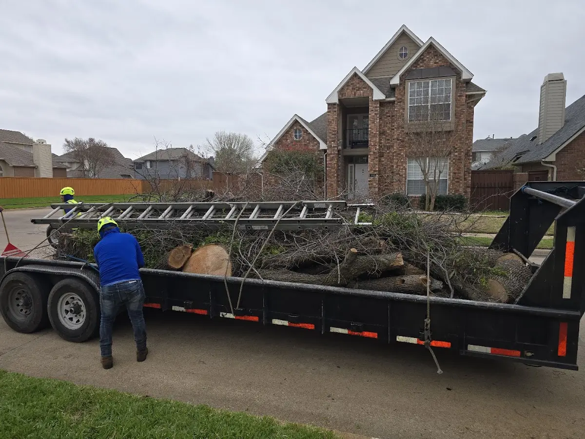 Expert Crown Reduction with proper safety equipment in Locust Dale